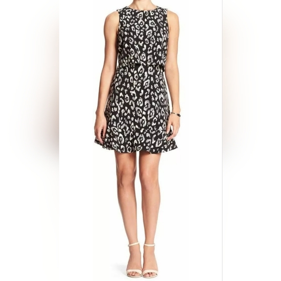 Banana Republic Black & White dress.